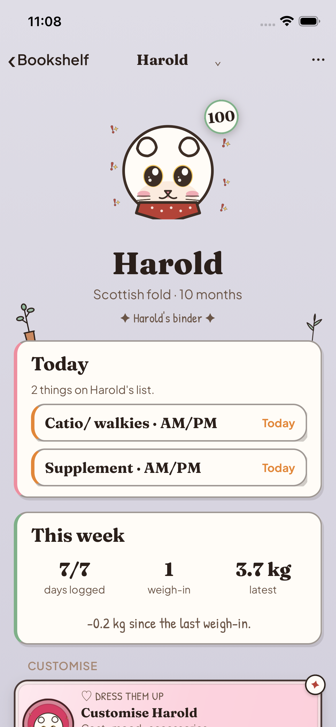 The dashboard showing what's on for today